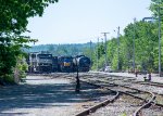 Looking into the Hill Yard